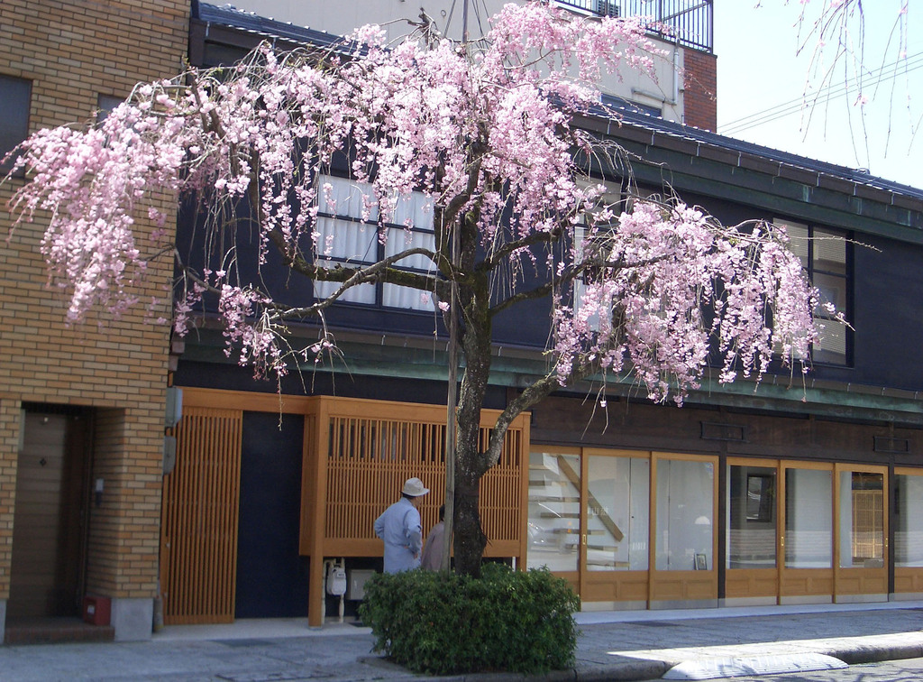 災害に備える安心で丈夫な住まいとは～暮らしを守る家～のイメージ