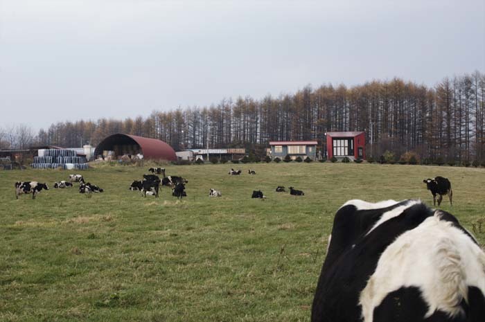 pastoral / 十勝の赤い牧歌の写真