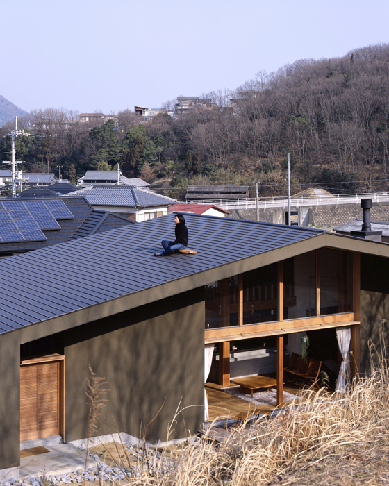 森の大屋根の写真