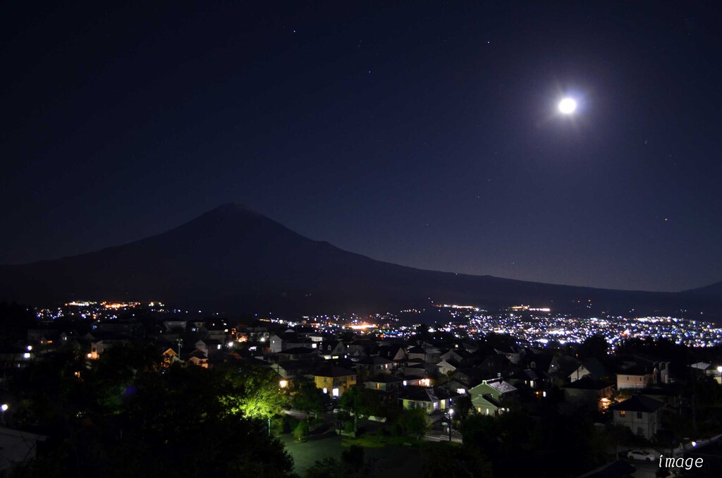 月夜に癒されるくつろぎの中庭空間のイメージ